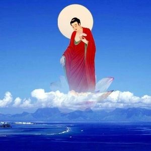 Meet your Posher, Luc